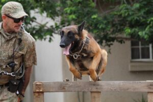 image of a security dog and its handler