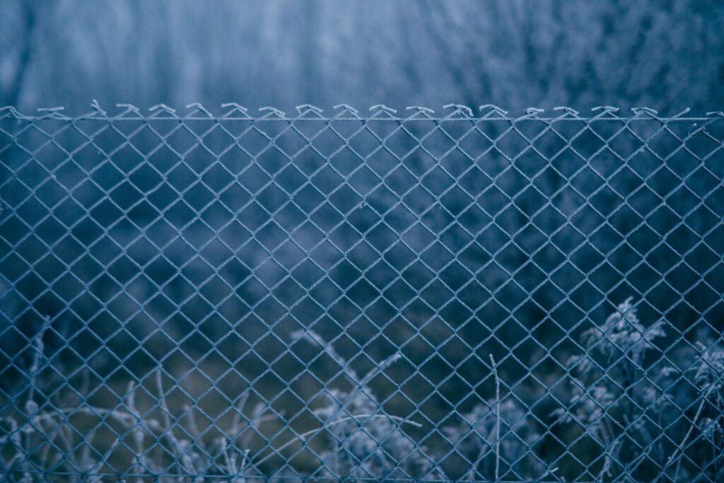 image of barbed wired covered in snow
